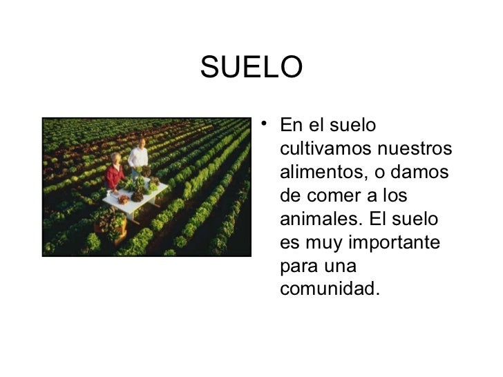 recursos de una comunidad recursos de una comunidad